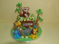 Tort pentru Stefan